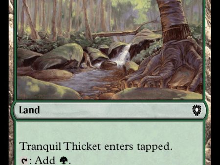 Tranquil Thicket [Bloomburrow Commander] Online Hot Sale