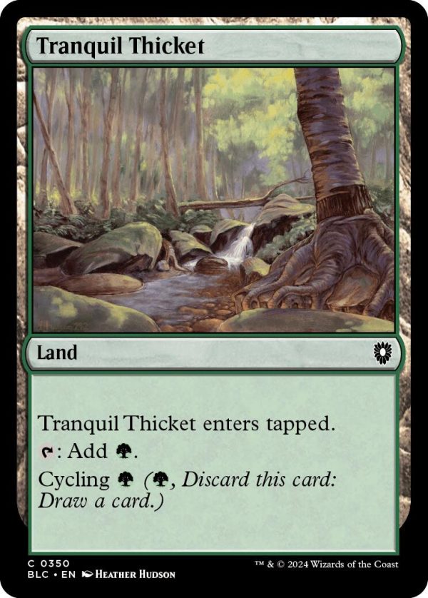 Tranquil Thicket [Bloomburrow Commander] Online Hot Sale