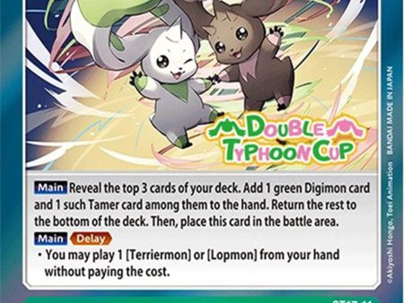 Double Typhoon [ST17-11] [Starter Deck: Double Typhoon Advanced Deck Set Pre-Release Cards] Online